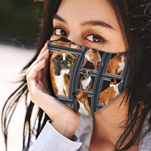 Boxer 3D EZ03 2804 Face Mask