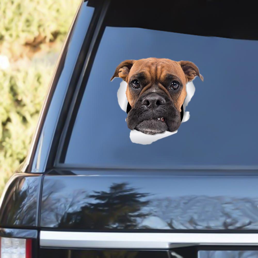 Boxer 2 Out Of The Window Decal