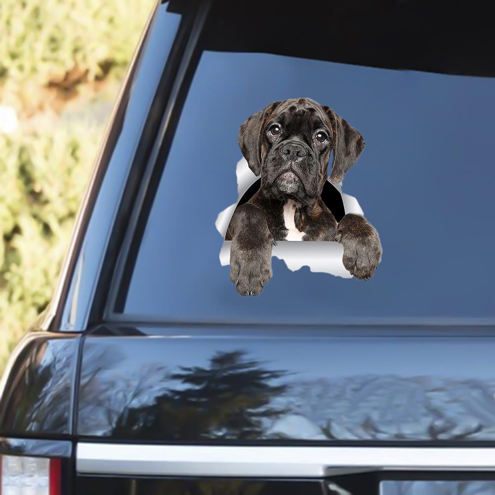 Boxer Out Of The Window Decal