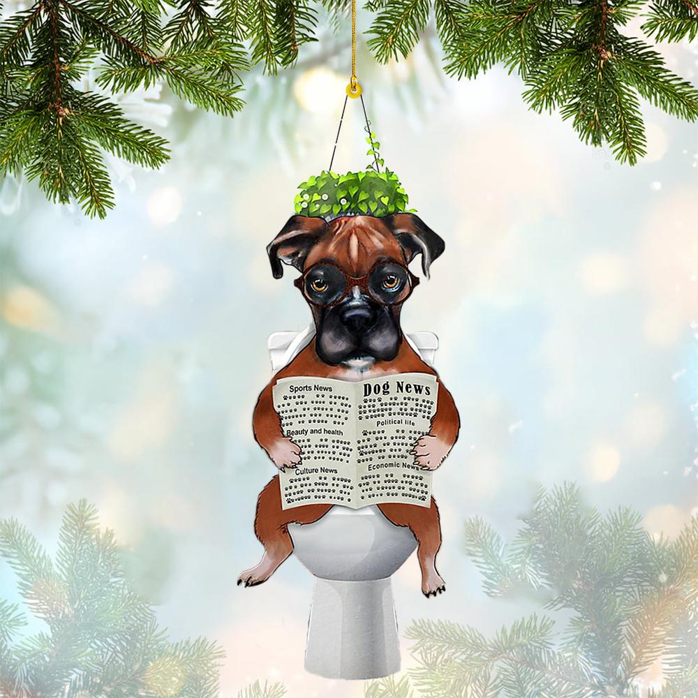 Boxer Sitting On A Toilet-Two Sides Ornament