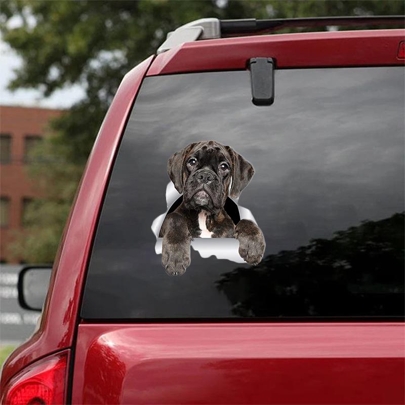 Cute Boxer Dog 2 CRACK CAR STICKER