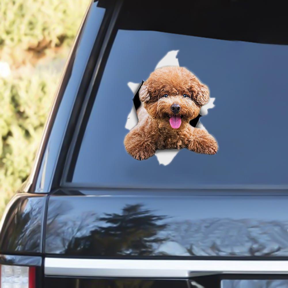 Brown Poodle Out Of The Window Decal