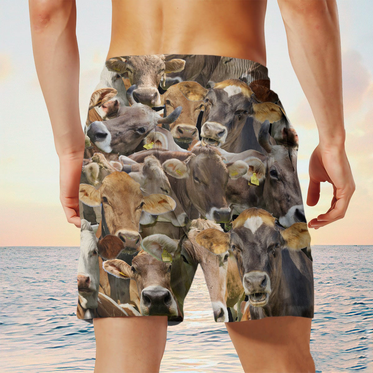 Brown Swiss Herd Shorts