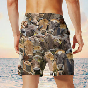 Brown Swiss Herd Shorts