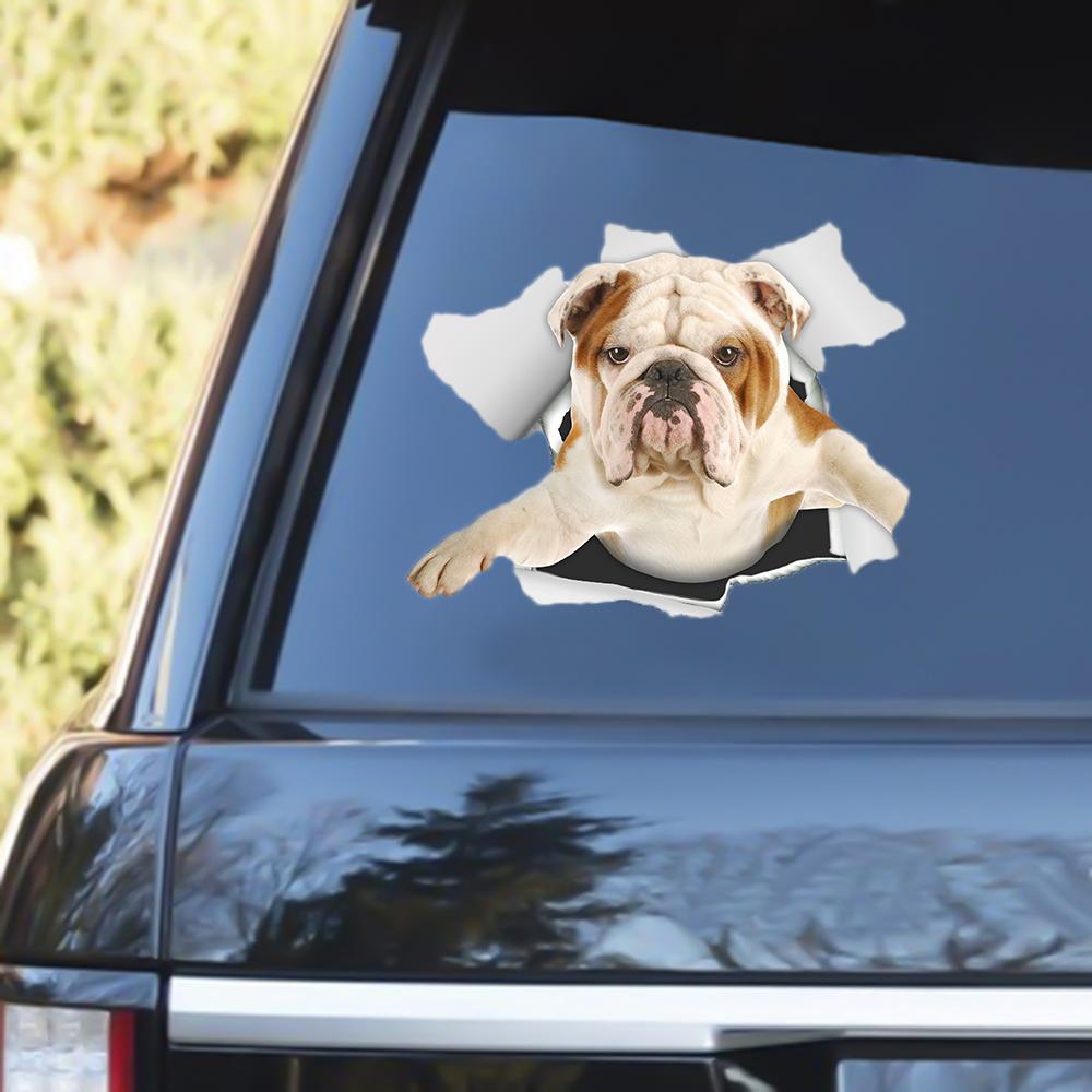 Bulldog 2 Out Of The Window Decal