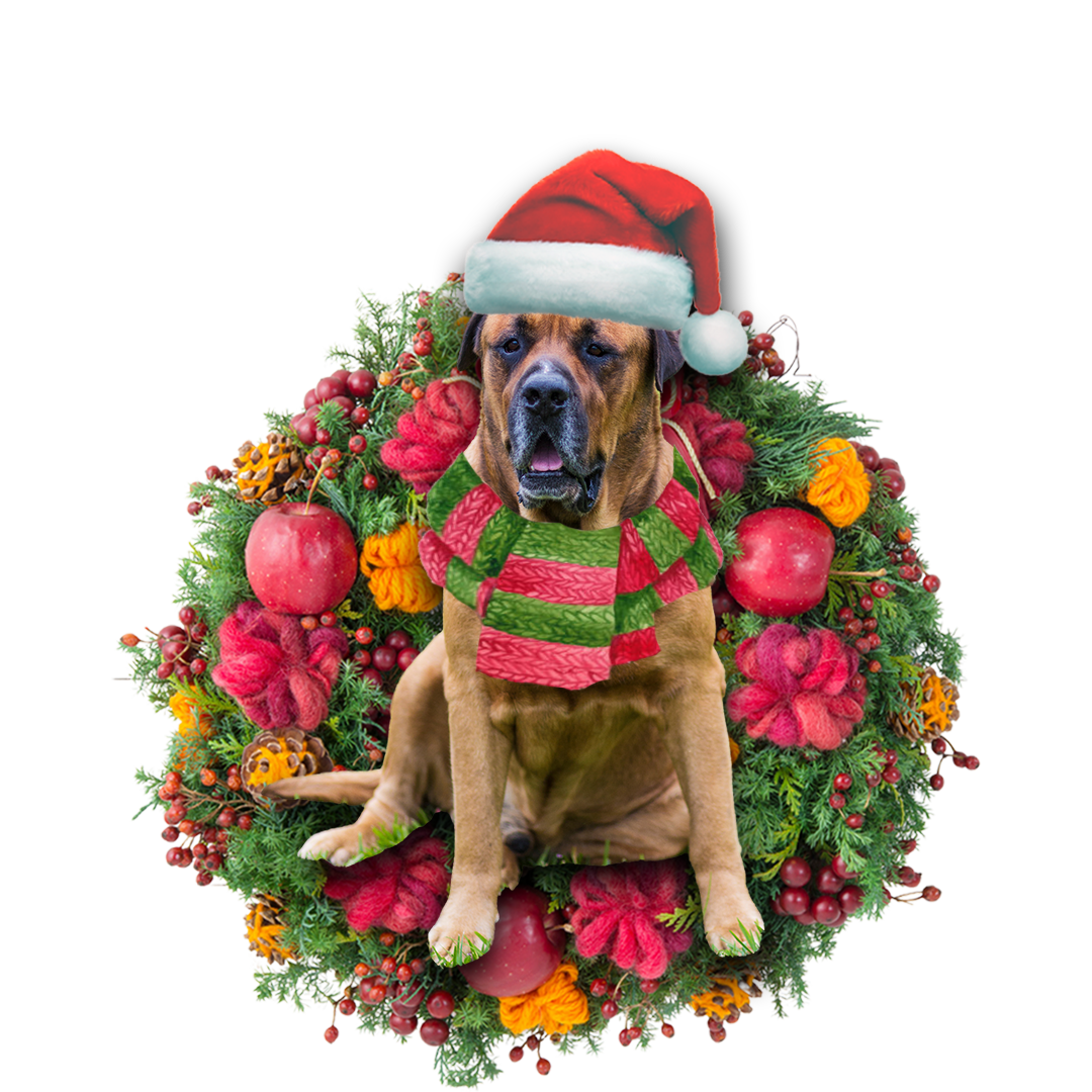 Bull Mastiff Christmas Ornament