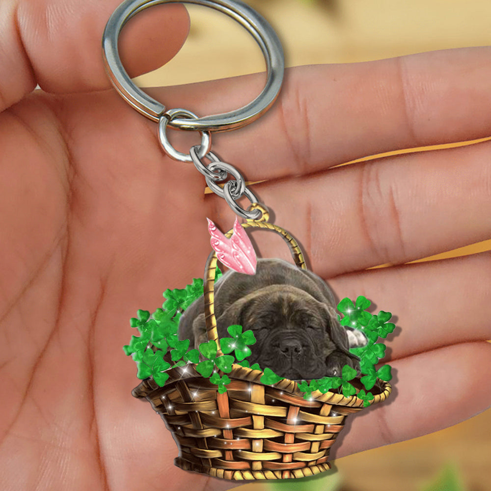 Cane Corso-Sleeping Lucky Fairy Flat Acrylic Keychain