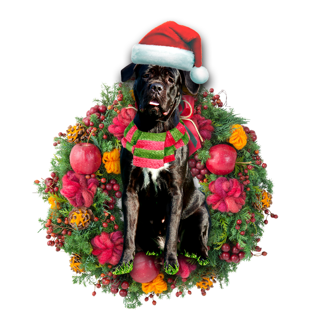 Cane Corso Christmas Ornament