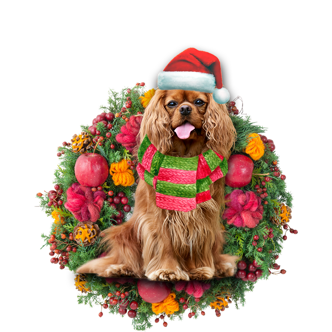 Cavalier King Charles Spaniel Christmas Ornament