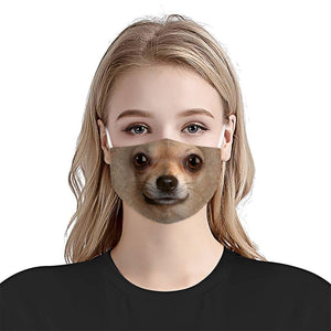 Chihuahua Portrait EZ08 1504 Face Mask