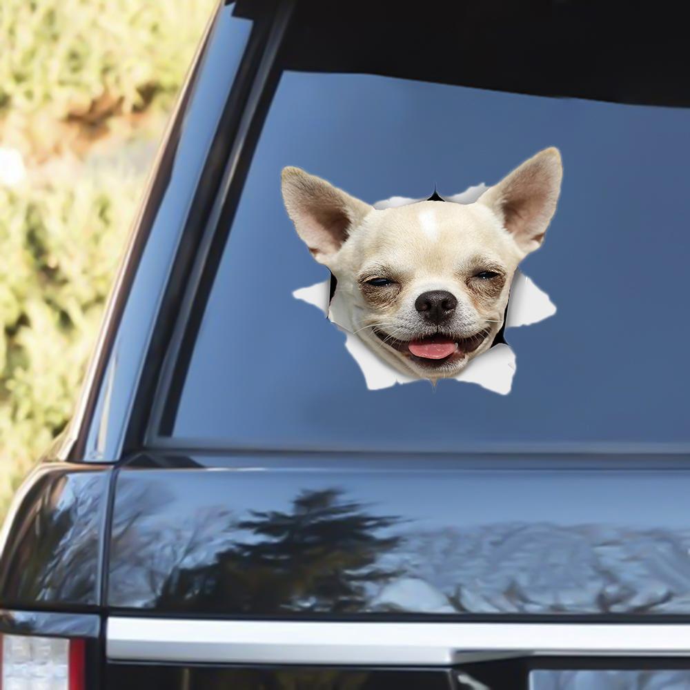 Chihuahua Out Of The Window Decal