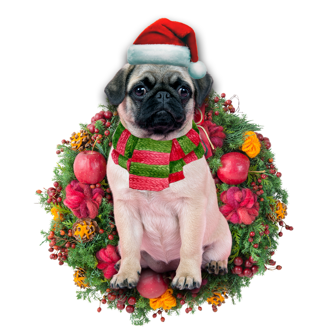 Chihuahua Pug Christmas Ornament