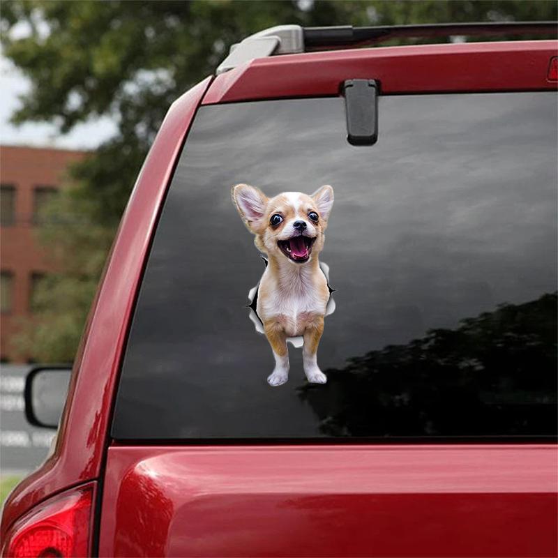 Cute Chihuahua  CRACK CAR STICKER