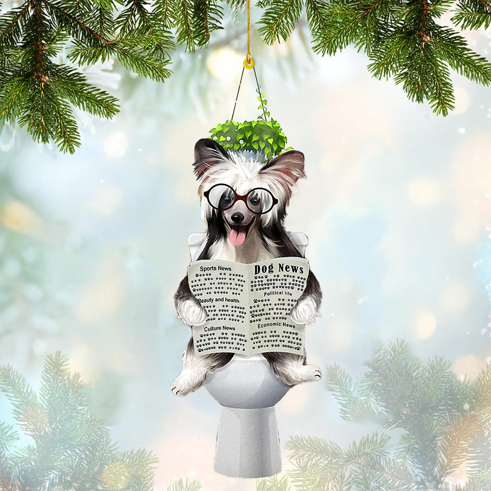 Chinese Crested Sitting On A Toilet-Two Sides Ornament