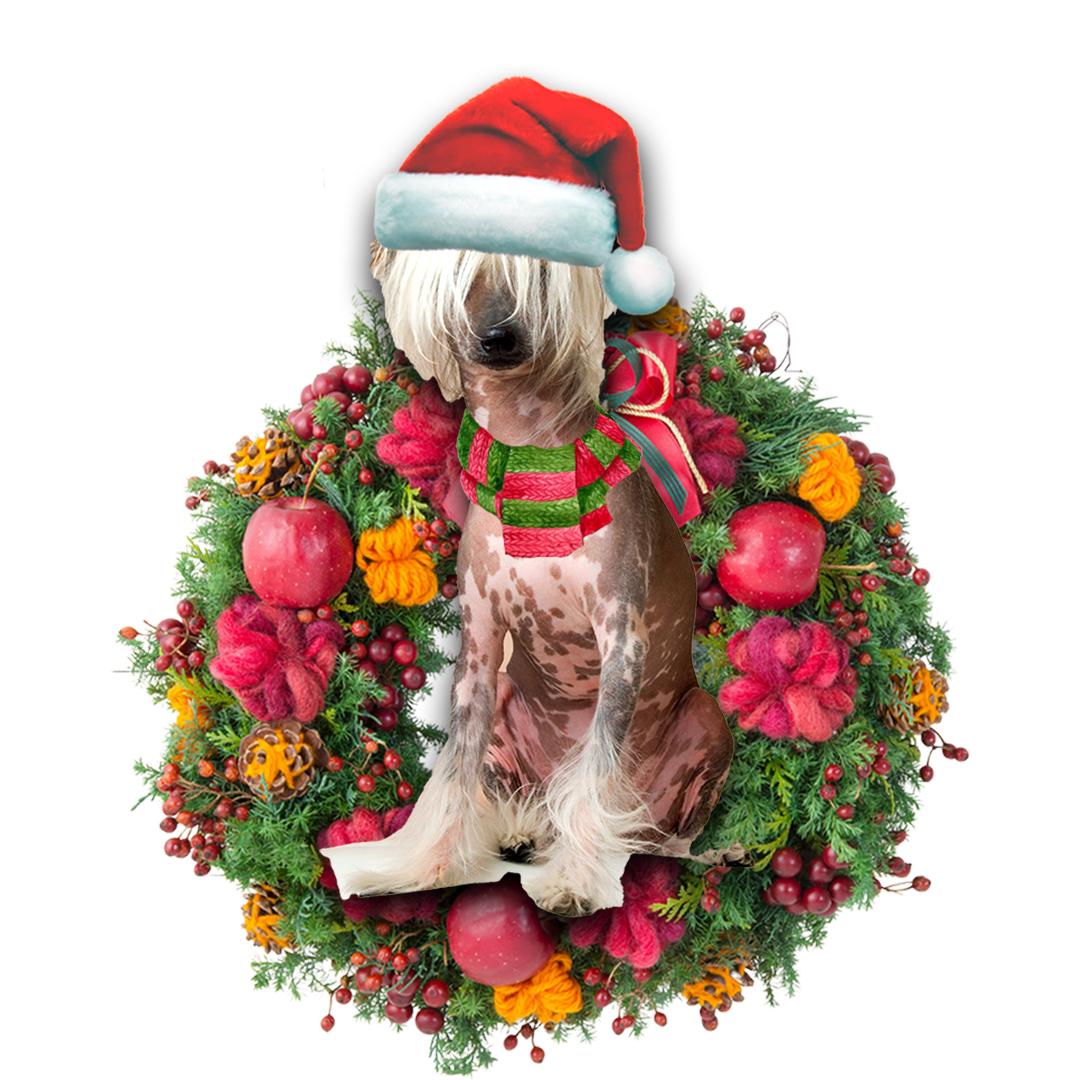 Chinese Crested Christmas Ornament