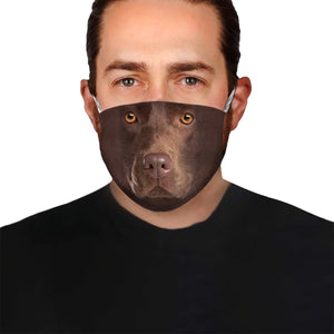Chocolate Lab Face EZ06 1504 Face Mask
