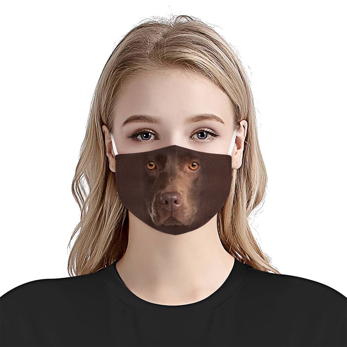 Chocolate Lab Face EZ06 1504 Face Mask
