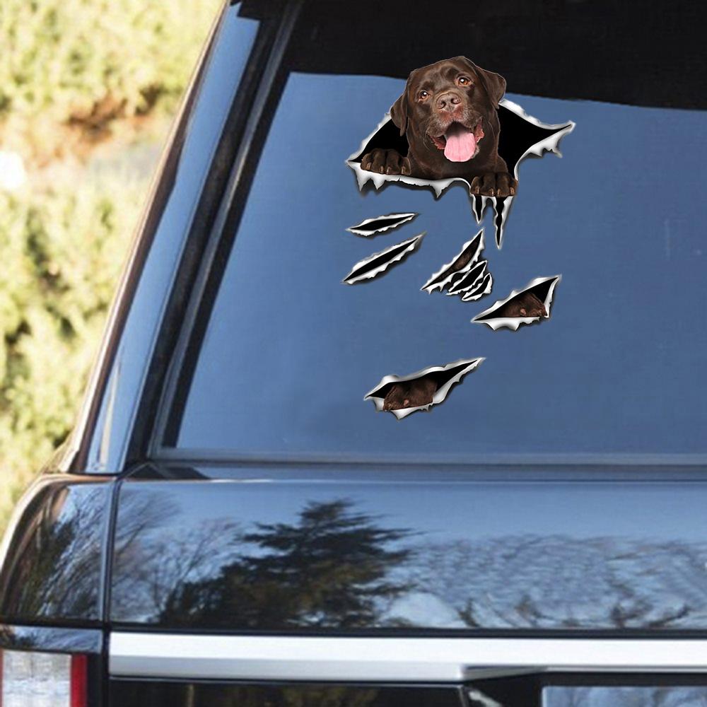 Chocolate Labrador Scratch Decal