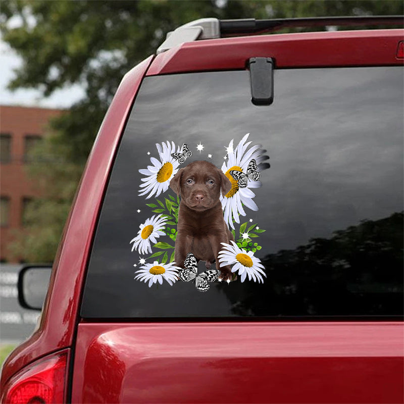 Chocolate Labs -Daisy flower CAR STICKER