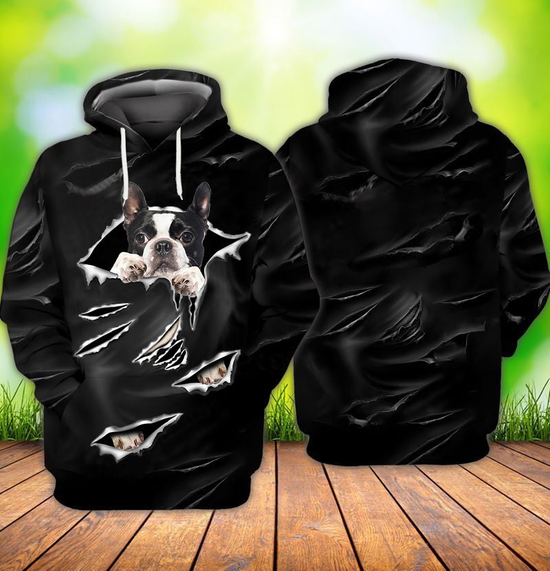 Cracks Boston Terrier Hoodie