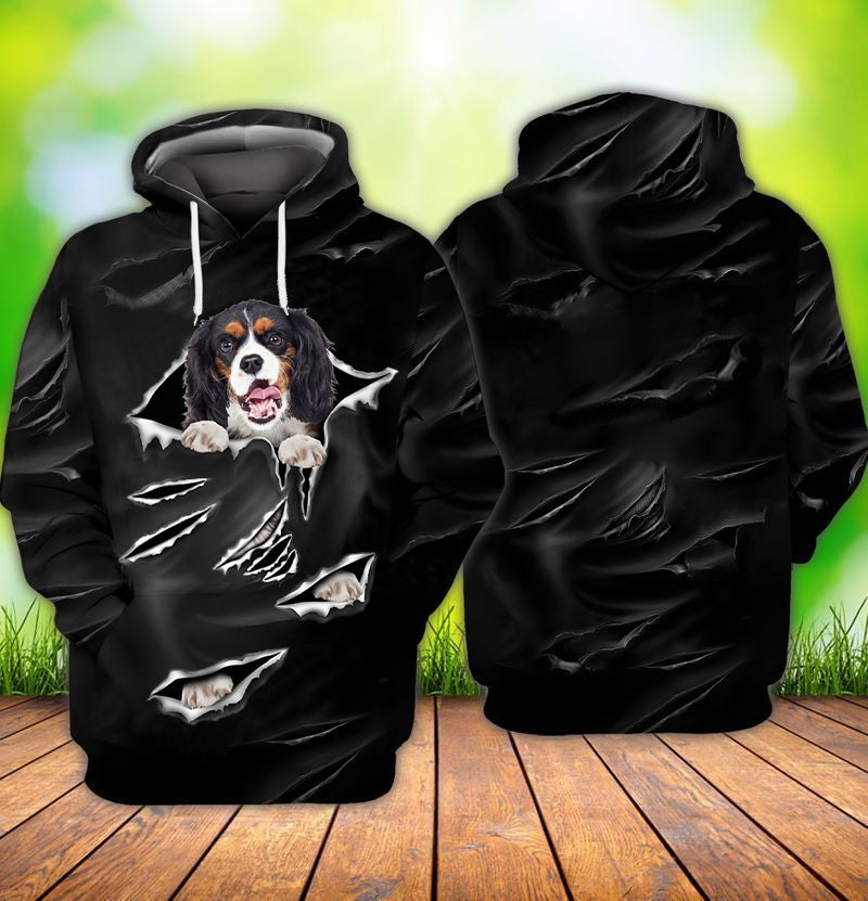 Cracks Cavalier King Charles Spaniel Hoodie