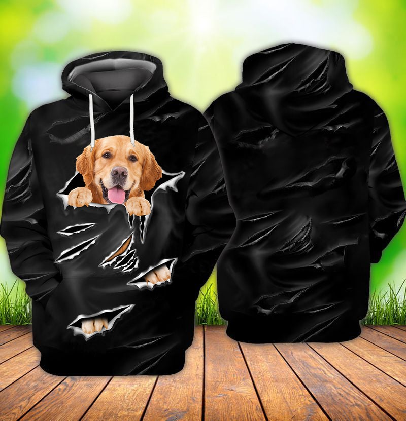 Cracks Golden Retriever Hoodie