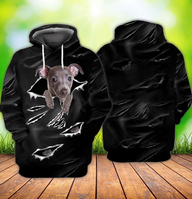 Cracks Greyhound Hoodie