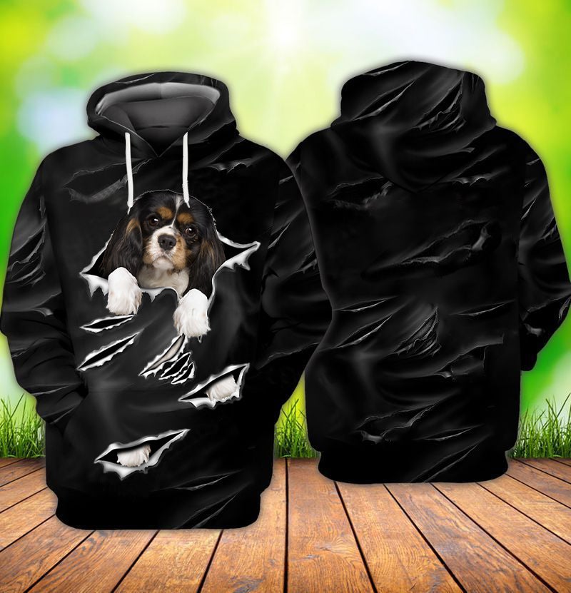 Cracks King Charles Spaniel 2 Hoodie