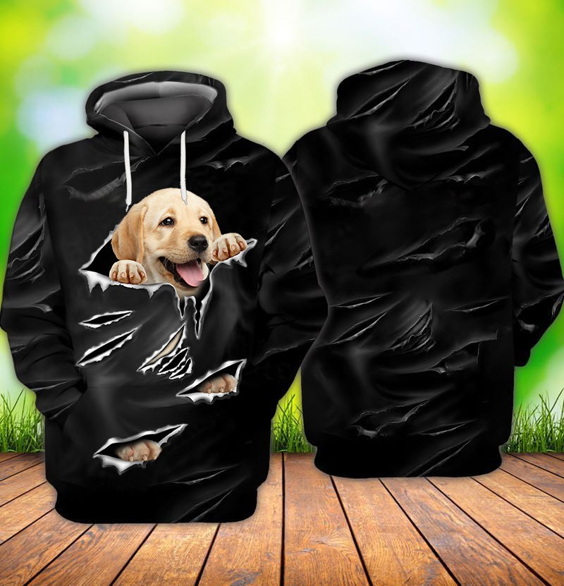 Cracks Labrador Hoodie