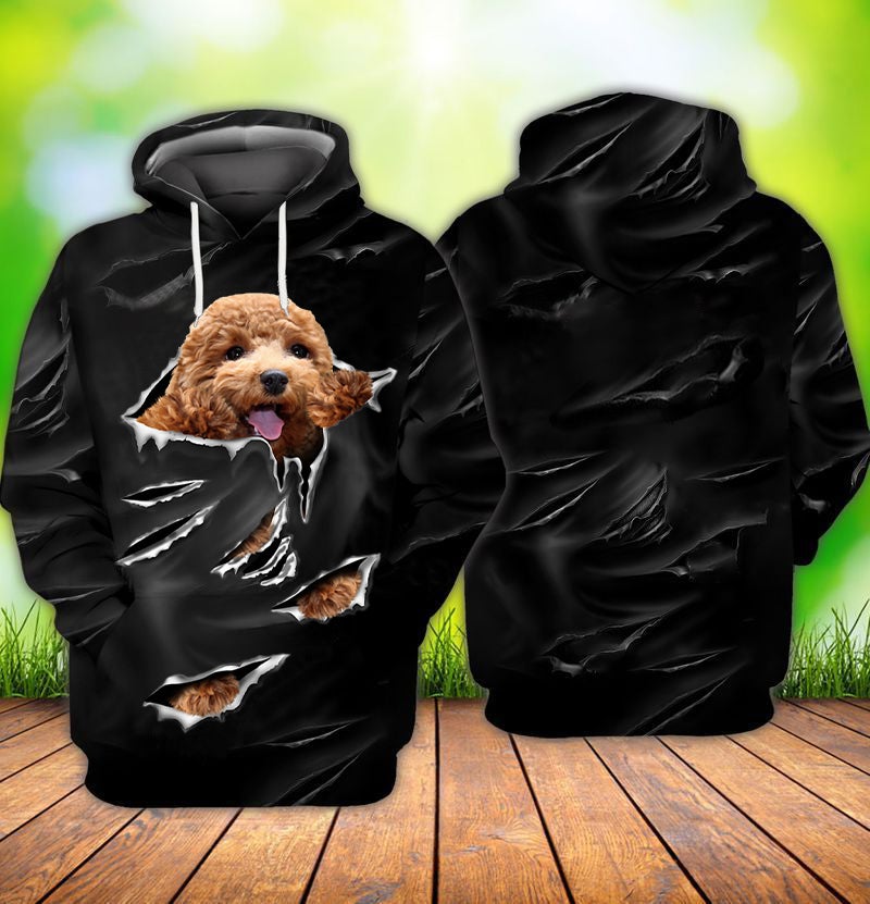 Cracks Poodle 1 Hoodie