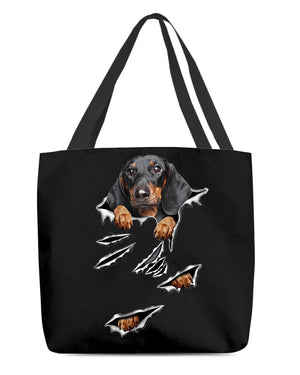 Cracks-Dachshund 3-Cloth Tote Bag