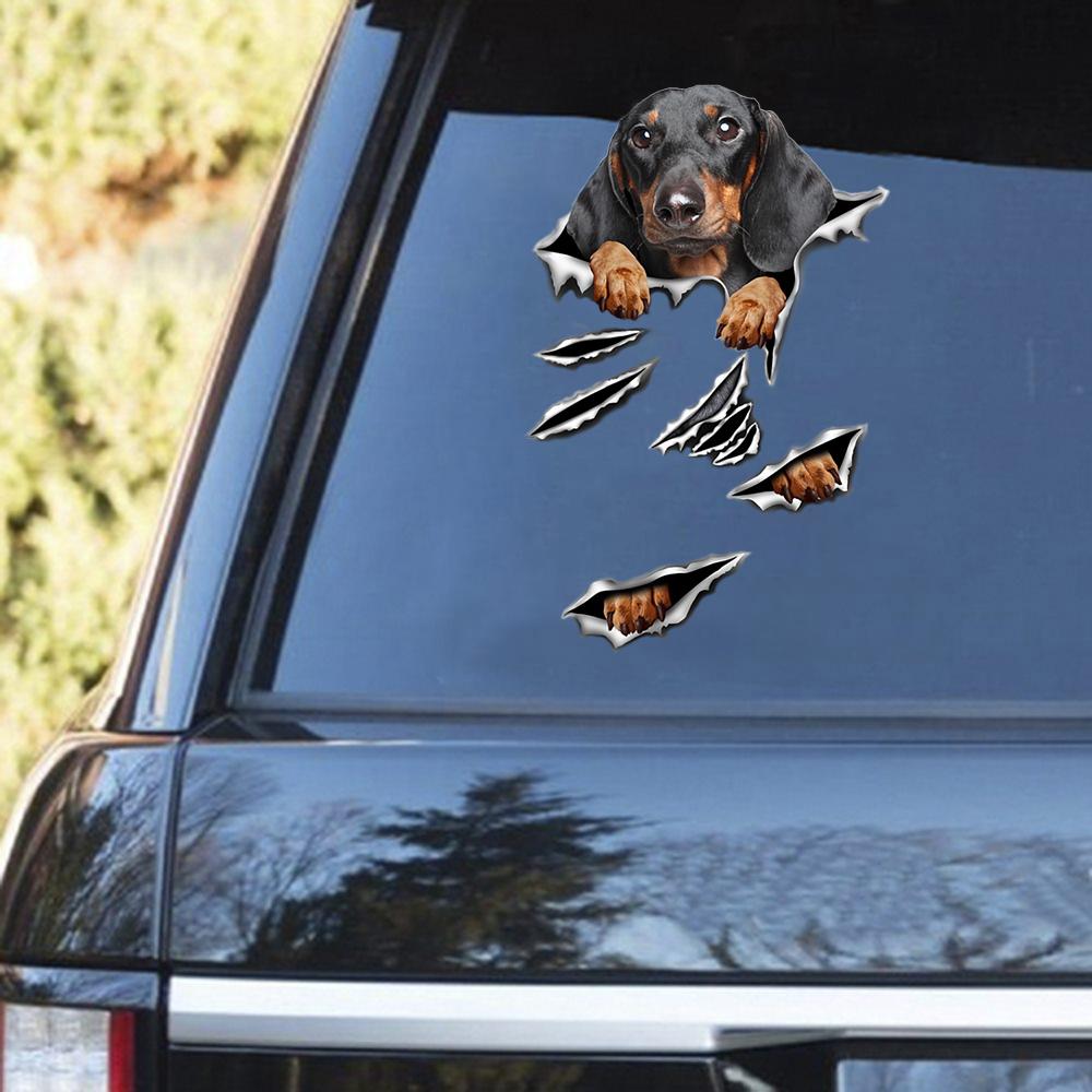 Dachshund 3 Scratch Decal