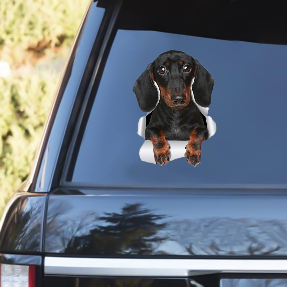 Dachshund Sausage Out Of The Window Decal