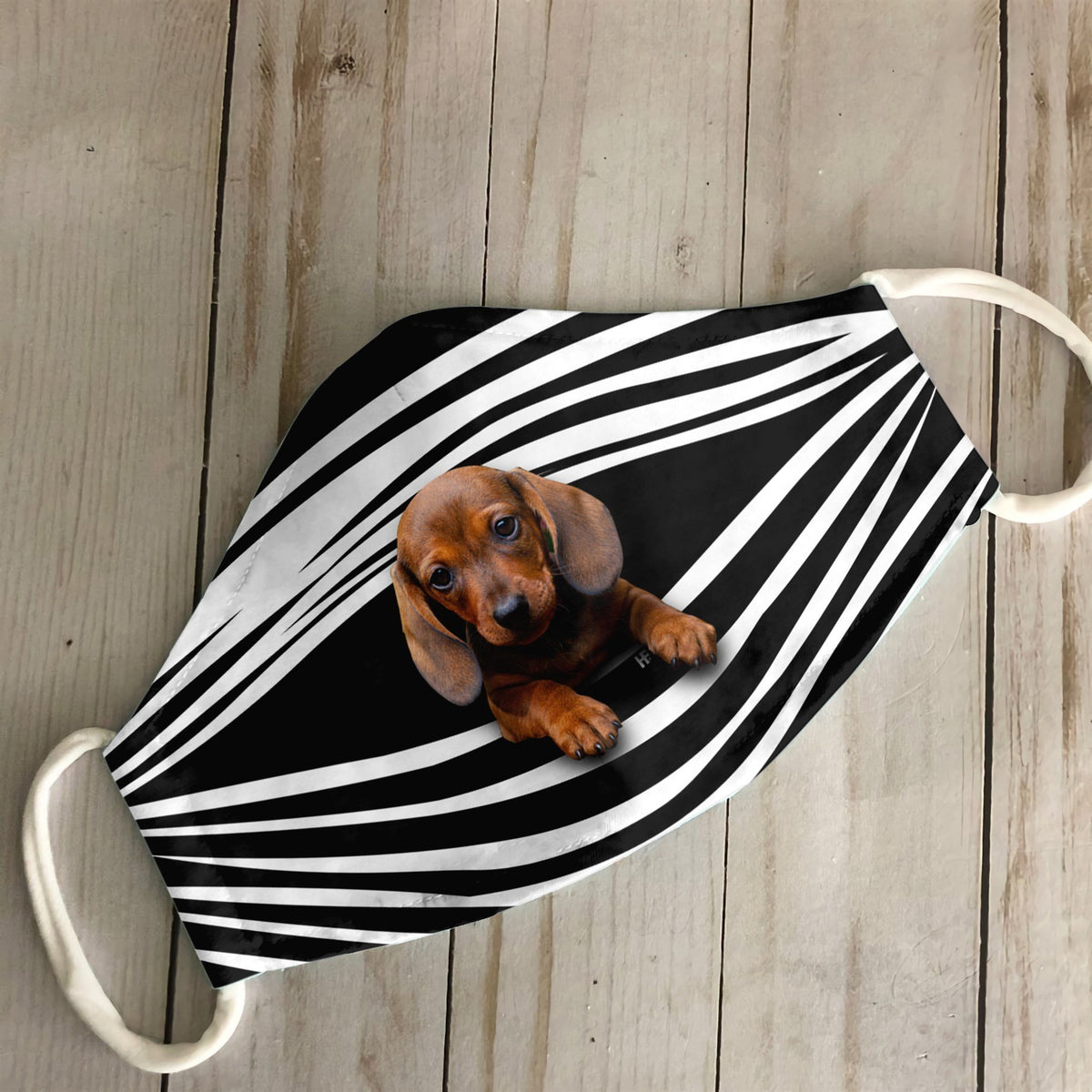 Dachshunds Stripes EZ16 1807 Face Mask