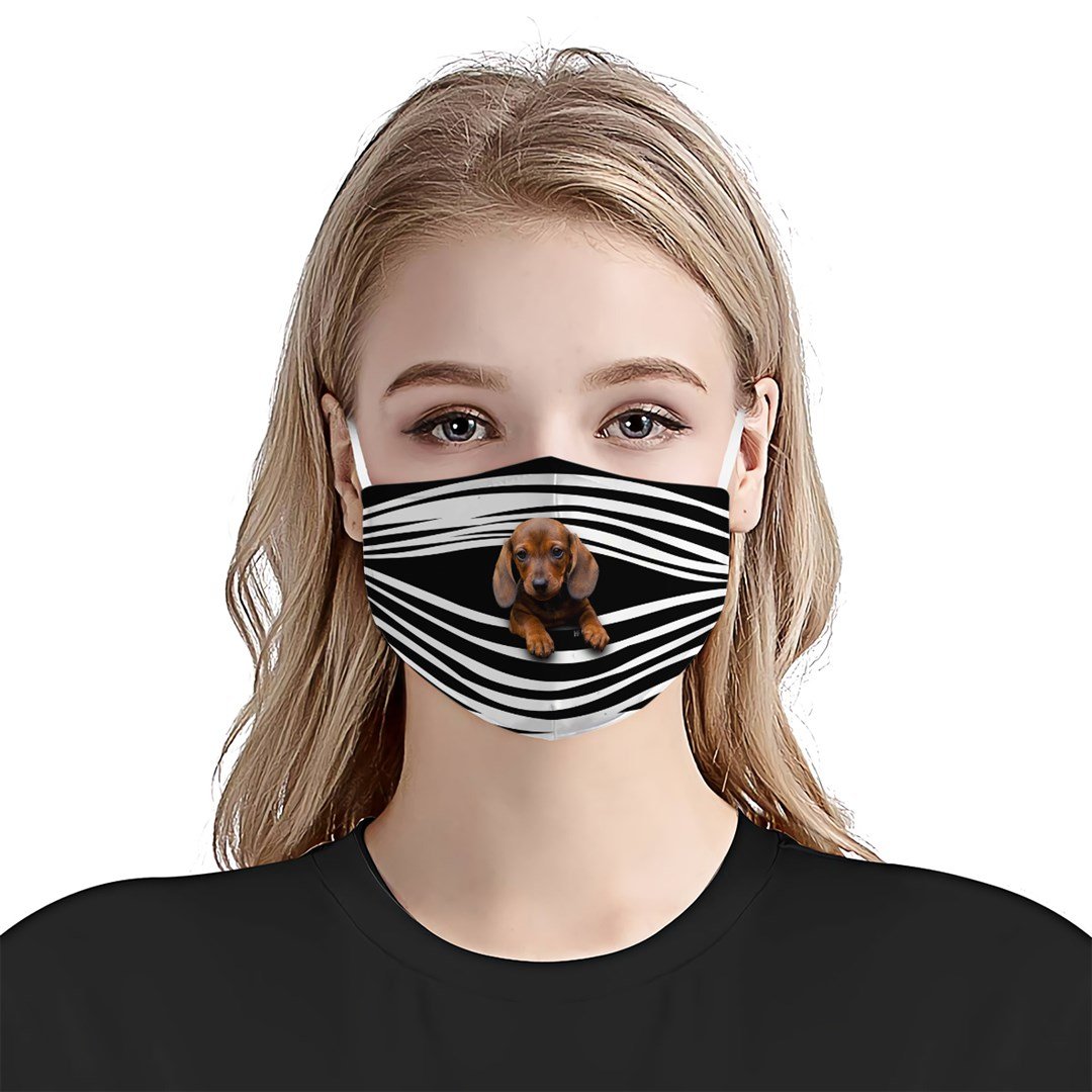 Dachshunds Stripes EZ16 1807 Face Mask