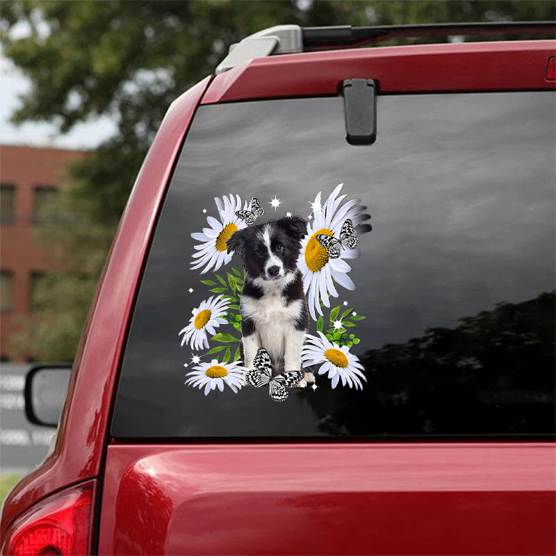 Border Collie Classic-Daisy flower CAR STICKER