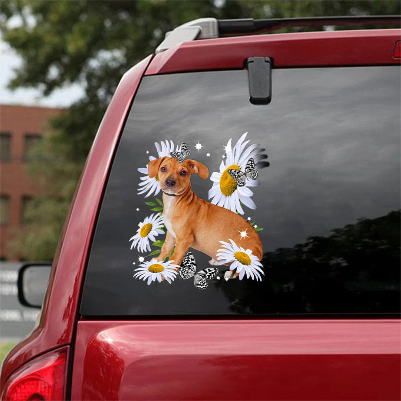 Chiweenie 1-Daisy flower CAR STICKER