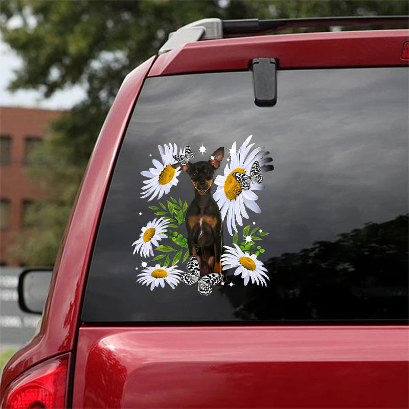 Miniature Pinscher-Daisy flower CAR STICKER