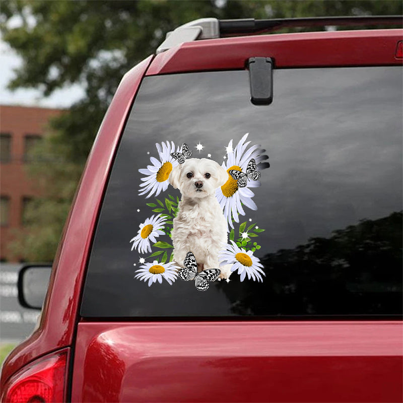 WHITE Maltese-Daisy flower CAR STICKER