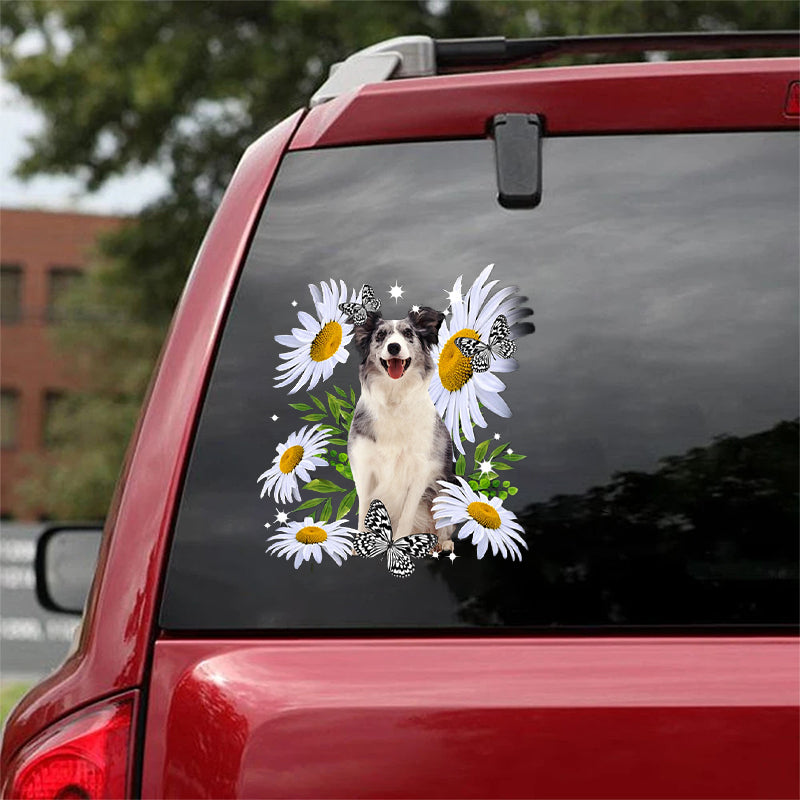 Blue Merle Collie-Daisy flower CAR STICKER