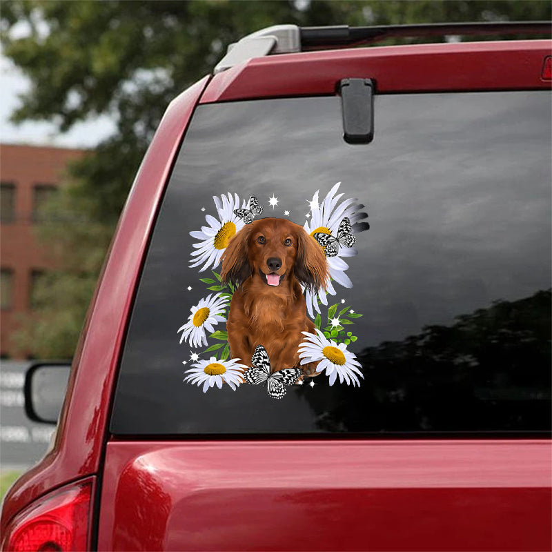 Red Long Haired Dachshund-Daisy flower CAR STICKER