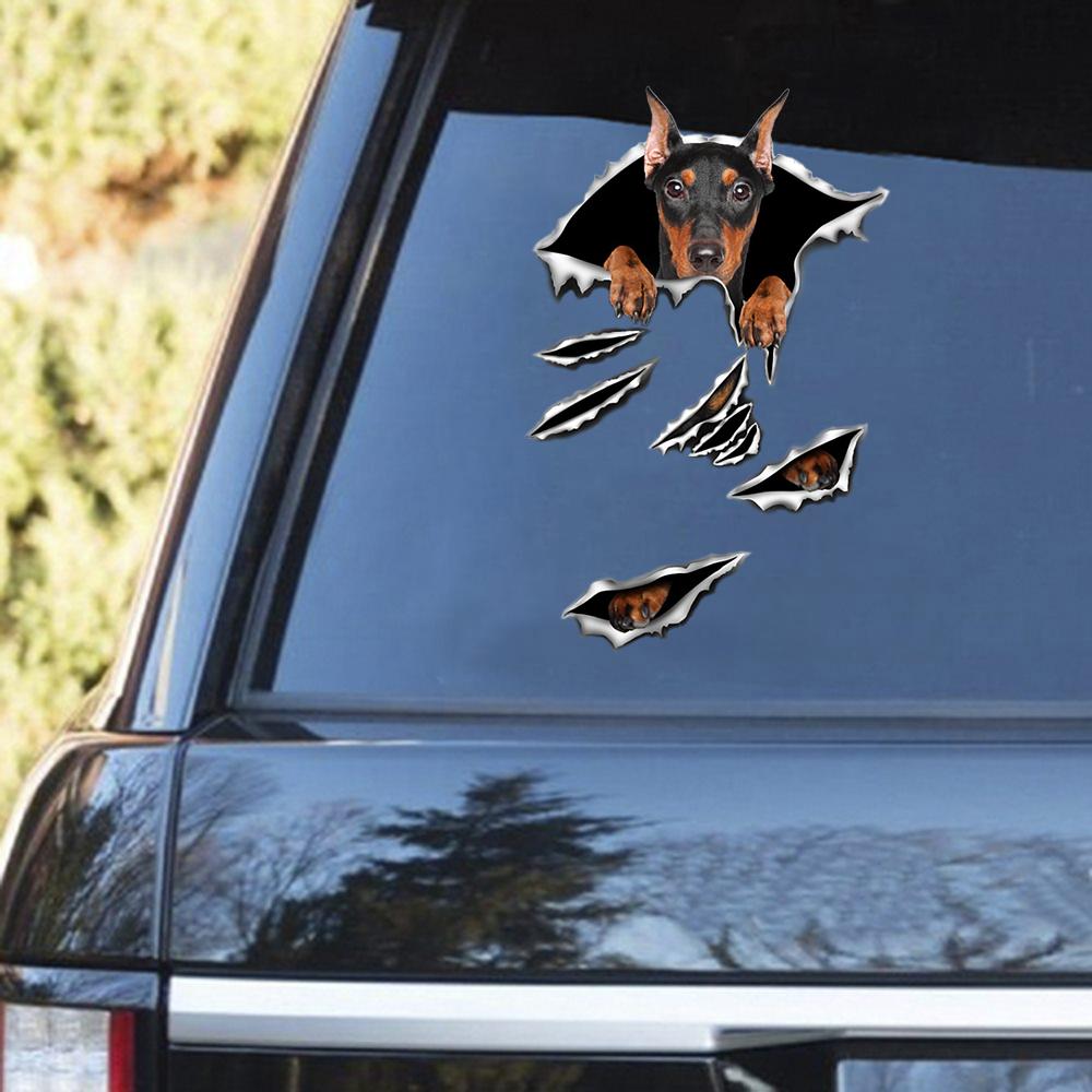 Doberman Scratch Decal