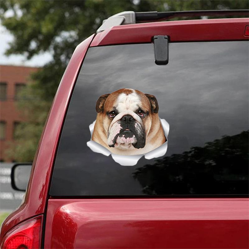 Cute English Bulldog CRACK CAR STICKER