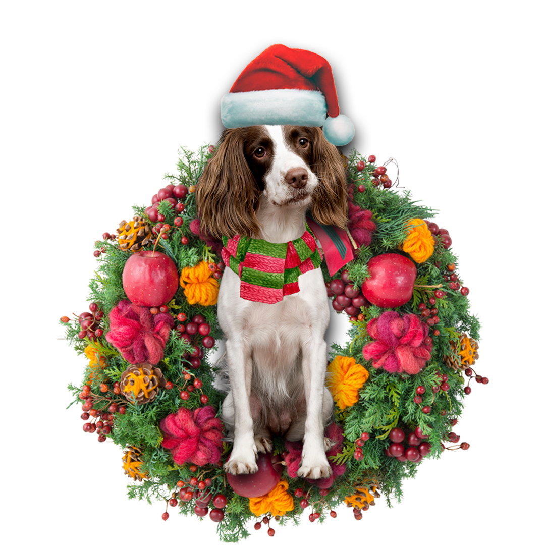 English Springer Spaniel Christmas Ornament