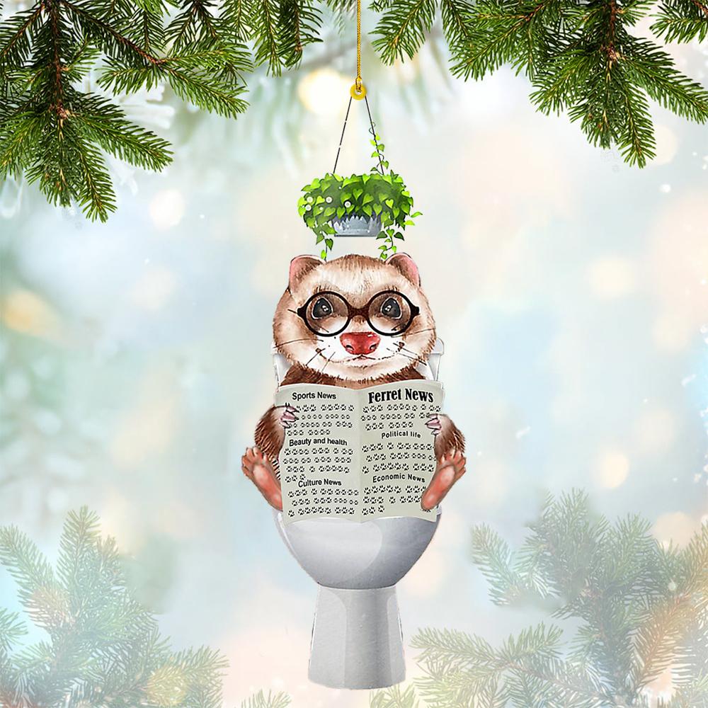 Ferret Sitting On A Toilet-Two Sides Ornament