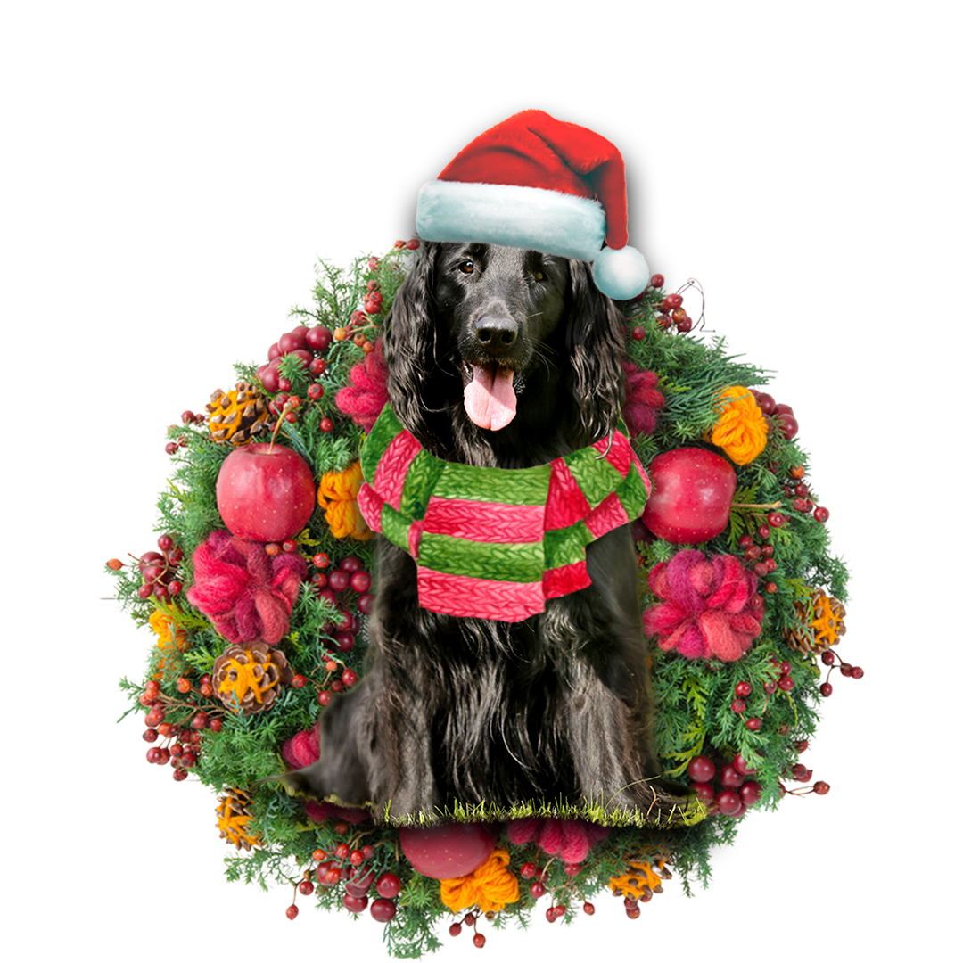 Flat Coated Retriever Christmas Ornament