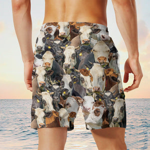 Fleckvieh Herd Shorts