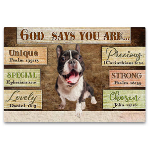 French  Bulldog3 God Says You Are Doormat