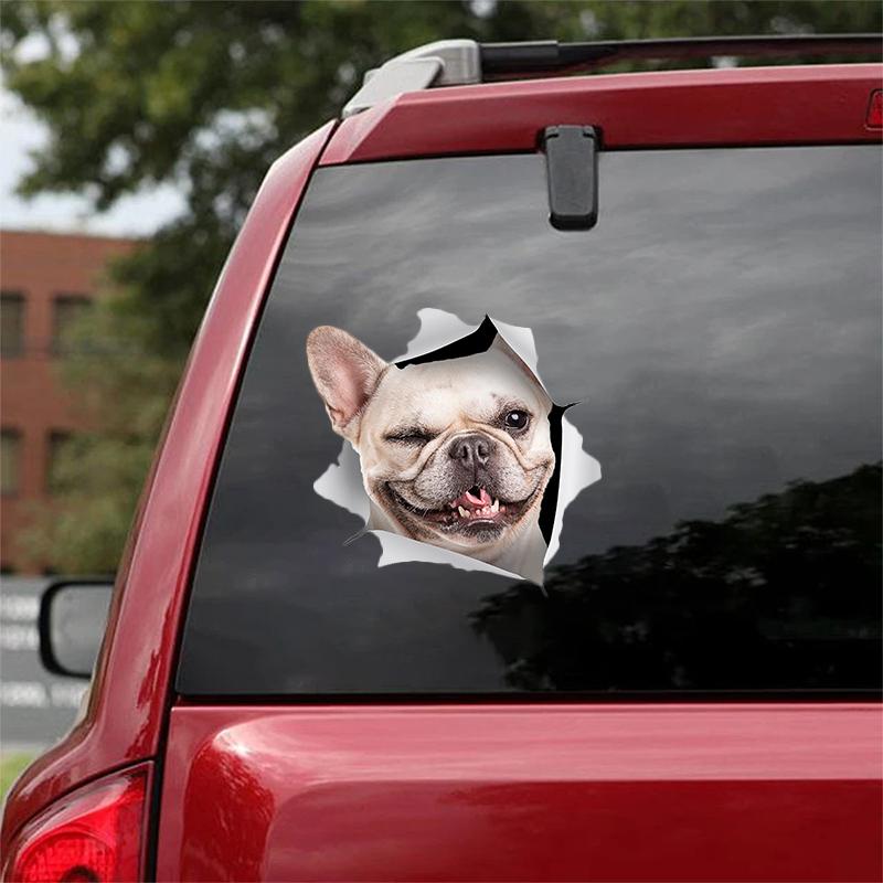 Cute French Bulldog 4 CRACK CAR STICKER