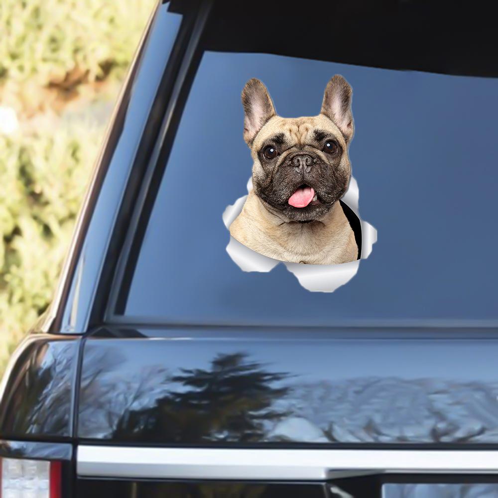 French Bulldog Out Of The Window Decal